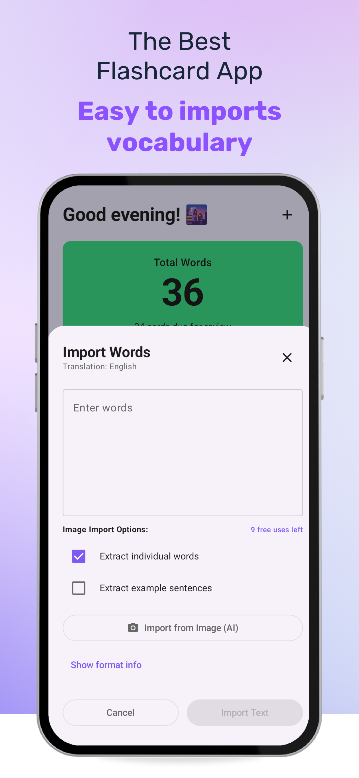 Light theme vocabulary import sheet